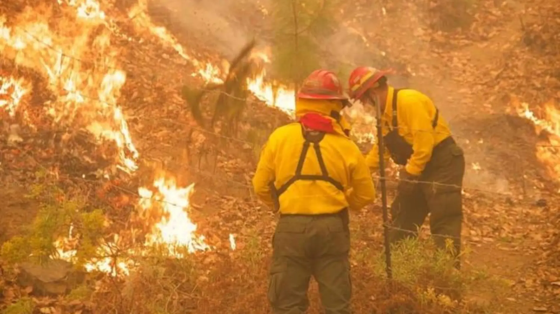 Incendio en Coahuila y Nuevo León (3)